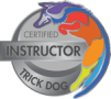 ctdi logo